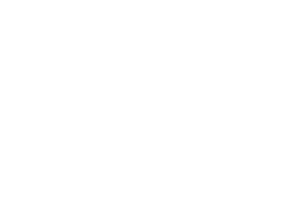 tiktok_marketing_partner