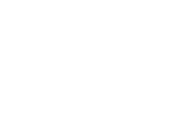 Bing Ads Partner