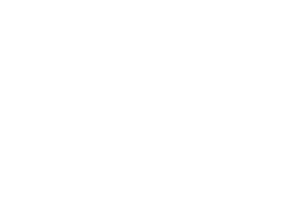 Google Partner